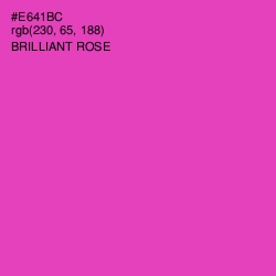 #E641BC - Brilliant Rose Color Image