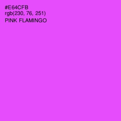 #E64CFB - Pink Flamingo Color Image