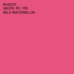 #E6537E - Wild Watermelon Color Image