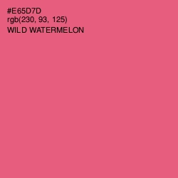 #E65D7D - Wild Watermelon Color Image