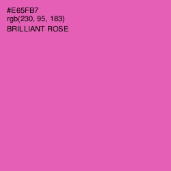 #E65FB7 - Brilliant Rose Color Image