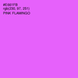 #E661FB - Pink Flamingo Color Image