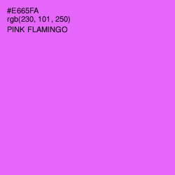 #E665FA - Pink Flamingo Color Image