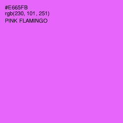 #E665FB - Pink Flamingo Color Image