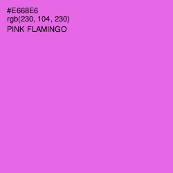#E668E6 - Pink Flamingo Color Image