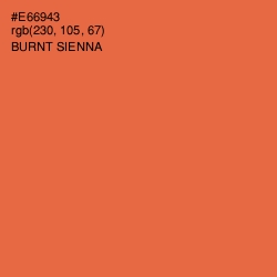 #E66943 - Burnt Sienna Color Image