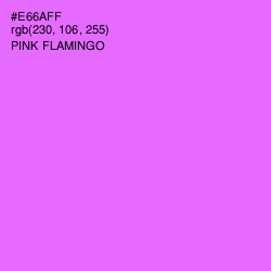 #E66AFF - Pink Flamingo Color Image