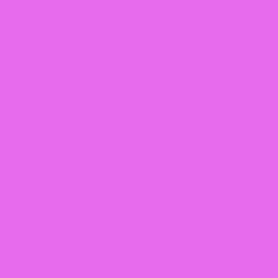 #E66CED - Blush Pink Color Image