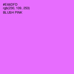 #E66DFD - Blush Pink Color Image