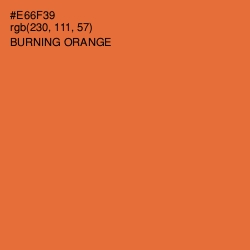 #E66F39 - Burning Orange Color Image