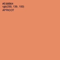 #E68B64 - Apricot Color Image