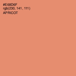 #E68D6F - Apricot Color Image