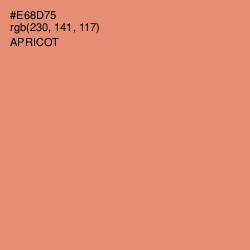 #E68D75 - Apricot Color Image