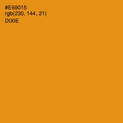 #E69015 - Dixie Color Image