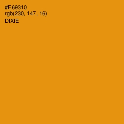 #E69310 - Dixie Color Image