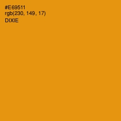 #E69511 - Dixie Color Image