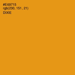 #E69715 - Dixie Color Image