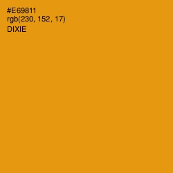 #E69811 - Dixie Color Image