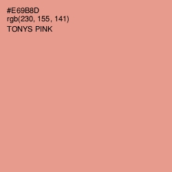 #E69B8D - Tonys Pink Color Image