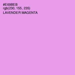 #E69BEB - Lavender Magenta Color Image