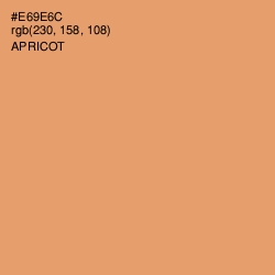 #E69E6C - Apricot Color Image