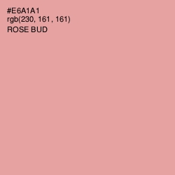 #E6A1A1 - Rose Bud Color Image