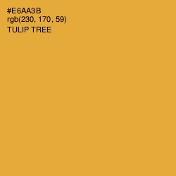 #E6AA3B - Tulip Tree Color Image