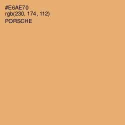 #E6AE70 - Porsche Color Image