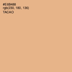 #E6B488 - Tacao Color Image