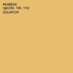 #E6BE6E - Equator Color Image