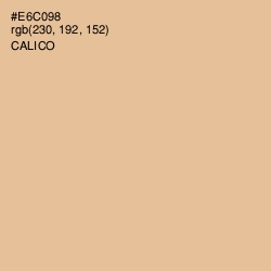 #E6C098 - Calico Color Image