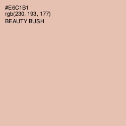 #E6C1B1 - Beauty Bush Color Image