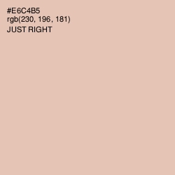 #E6C4B5 - Just Right Color Image