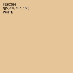 #E6C599 - Calico Color Image