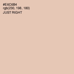 #E6C6B4 - Just Right Color Image