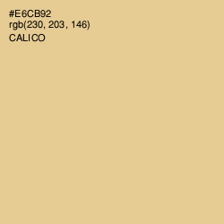 #E6CB92 - Calico Color Image