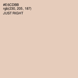 #E6CDBB - Just Right Color Image