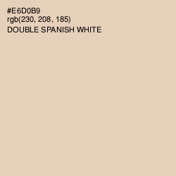 #E6D0B9 - Double Spanish White Color Image