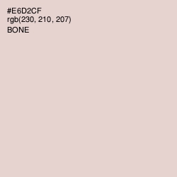 #E6D2CF - Bone Color Image