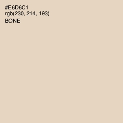 #E6D6C1 - Bone Color Image