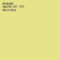 #E6E389 - Wild Rice Color Image