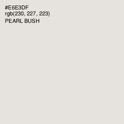 #E6E3DF - Pearl Bush Color Image