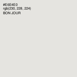 #E6E4E0 - Bon Jour Color Image