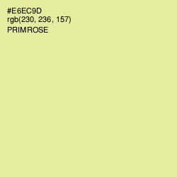 #E6EC9D - Primrose Color Image