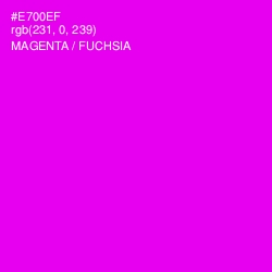 #E700EF - Magenta / Fuchsia Color Image