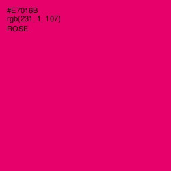 #E7016B - Rose Color Image