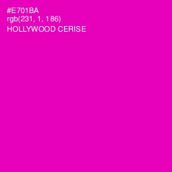 #E701BA - Hollywood Cerise Color Image