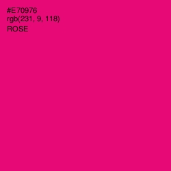 #E70976 - Rose Color Image