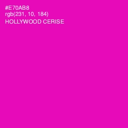 #E70AB8 - Hollywood Cerise Color Image