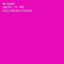 #E70AB9 - Hollywood Cerise Color Image